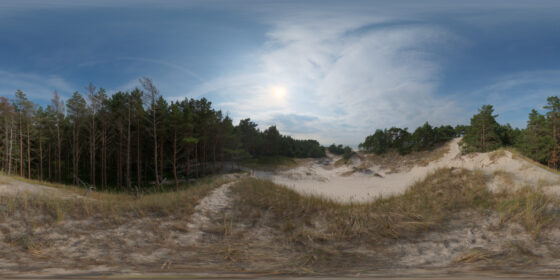 sunny baltic dune landscape