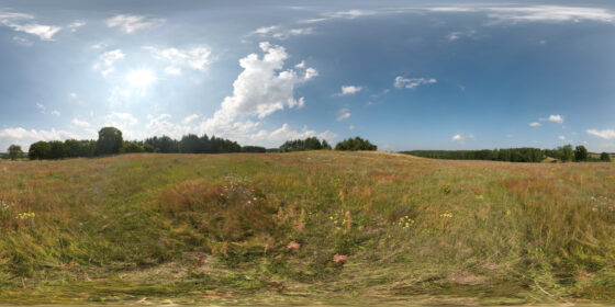 sunny meadow hdri map