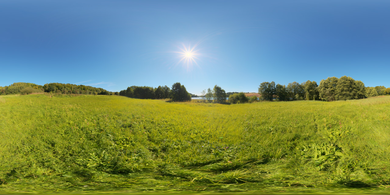 Meadow surrounded by trees at lake  - HDRIs - Nature