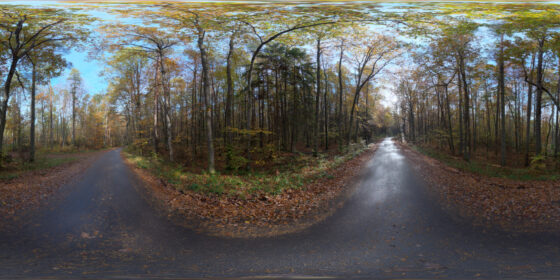 wet autumn road in the forest hdri