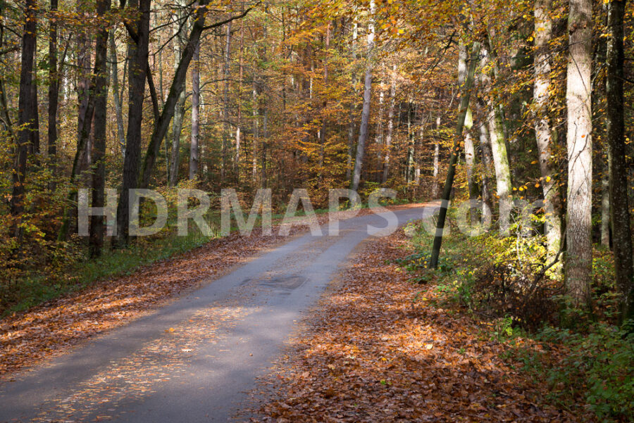 Autumn Forest With Narrow Road - Automotive HDRI and 13 backplates