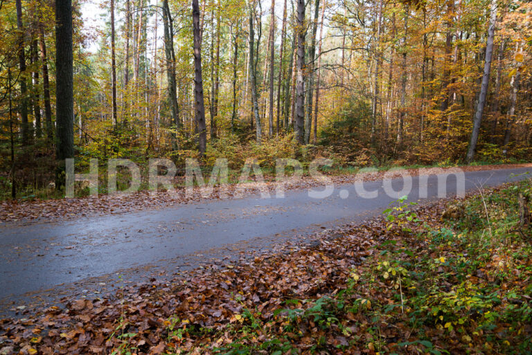 Autumn Forest With Narrow Road - Automotive HDRI and 13 backplates