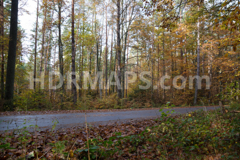 Autumn Forest With Narrow Road - Automotive HDRI and 13 backplates