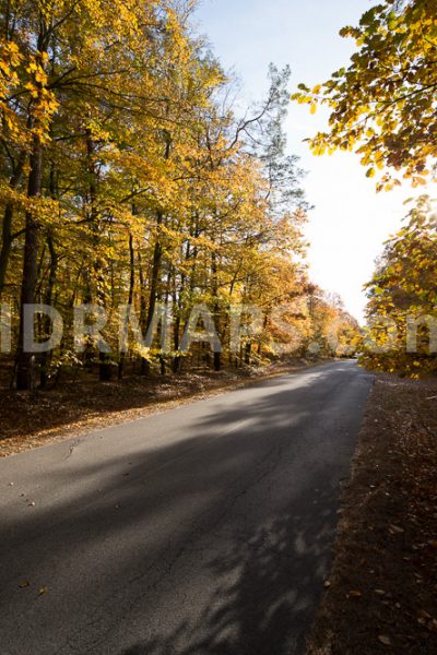 Golden Autumn Road - Download Free HDRi Map and 29 backplates - HDRMAPS™