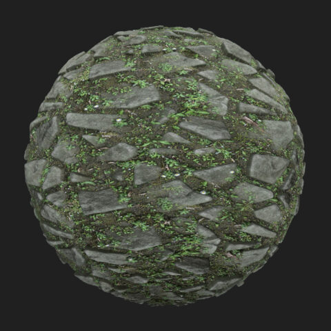 mossy pavement texture