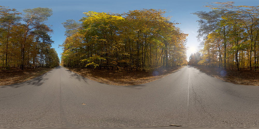 Golden Autumn Road  - Free HDRI Maps - Freebies
