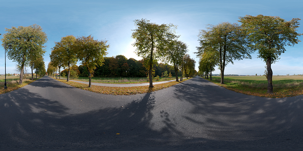 Empty autumn road  - HDRIs - Roads