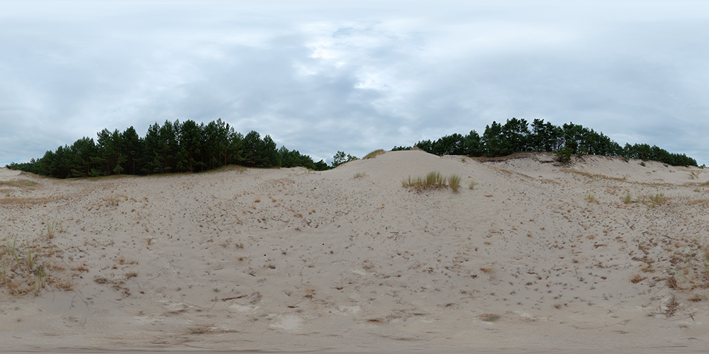 Dunes after the rain  - HDRIs - Nature