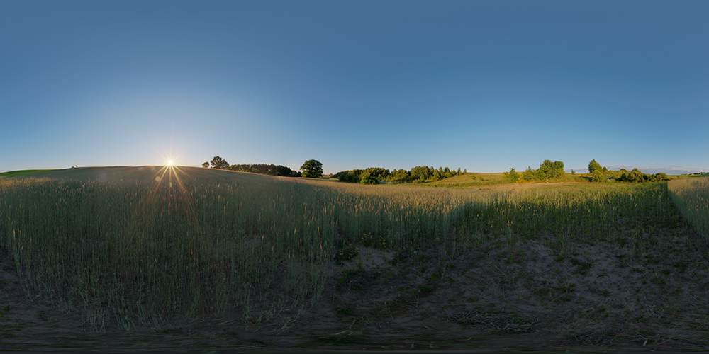 Sundown in rye field  - HDRI Maps - Nature