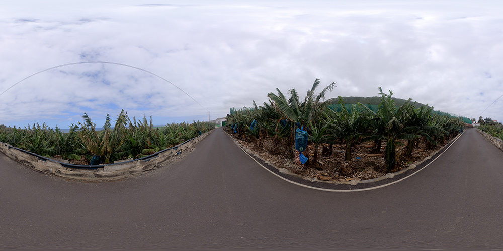 Banana plantation road  - HDRIs - Roads