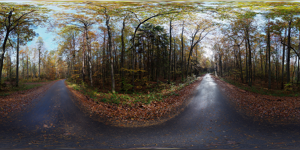 Autumn Forest With Narrow Road  - HDRI Maps - Roads
