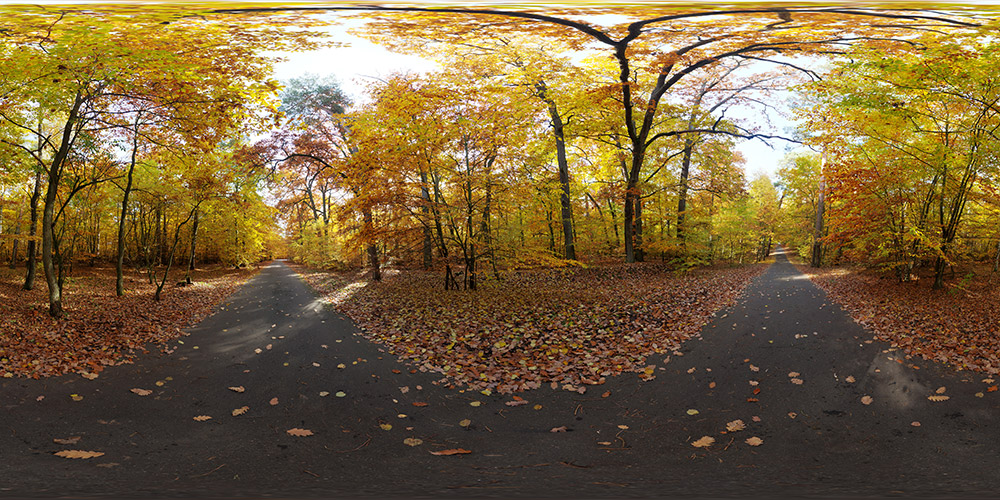 Golden Autumn narrow road  - HDRIs - Roads