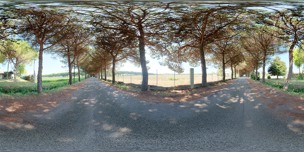 Street lined with trees  - HDRIs - Roads