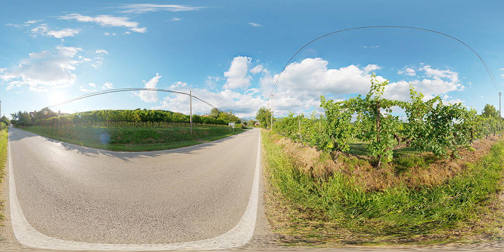 Road by vineyard in Friuli  - HDRI Maps - Roads