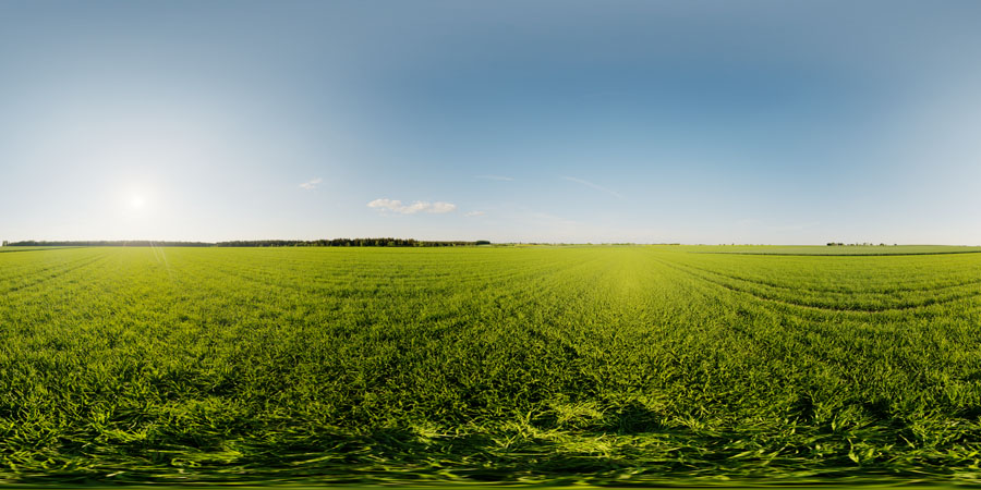Clear evening sky over rye field  - HDRIs - Skies