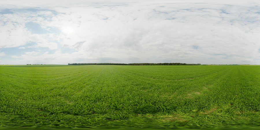 Rye field on a may afternoon  - HDRIs - Skies