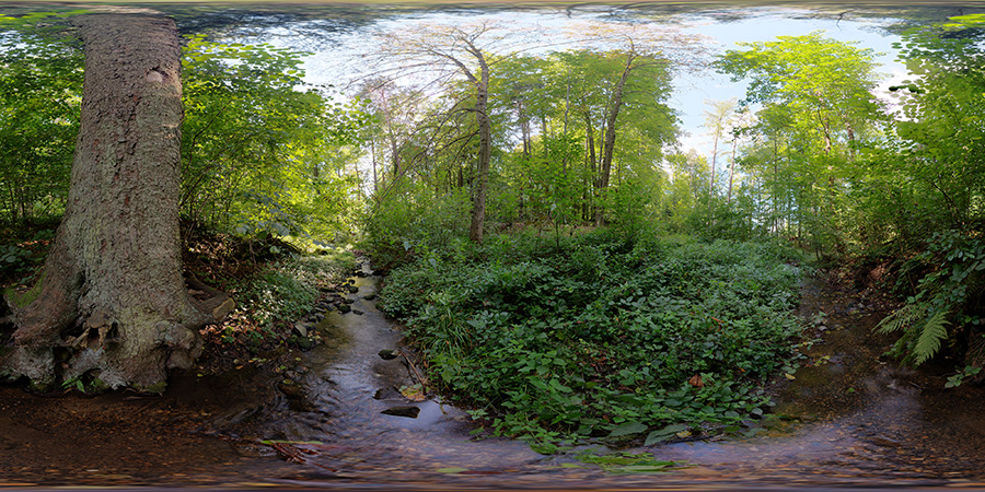 Forest stream  - HDRIs - Nature