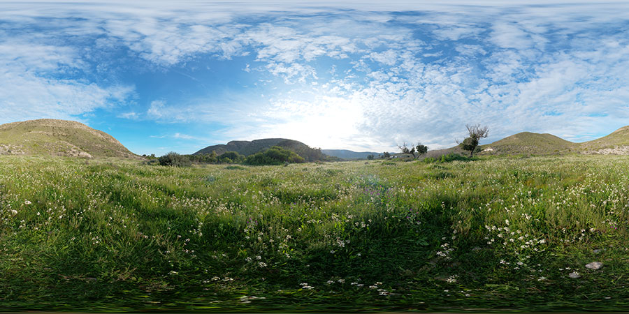 Andalusian meadow  - HDRIs - Nature
