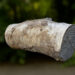 free 3d birch scan