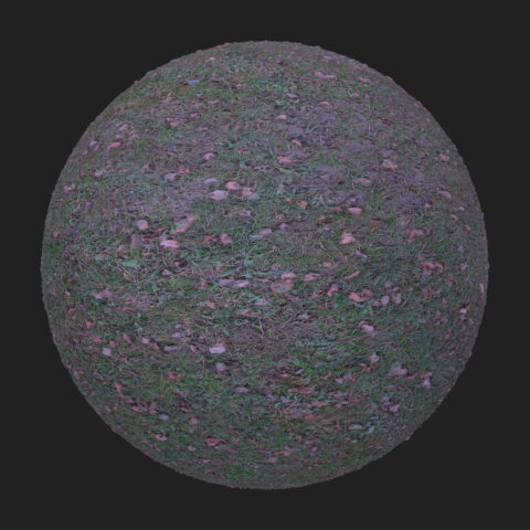 frozen grass ground pbr texture