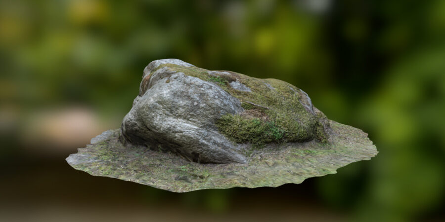 free mossy stone scan