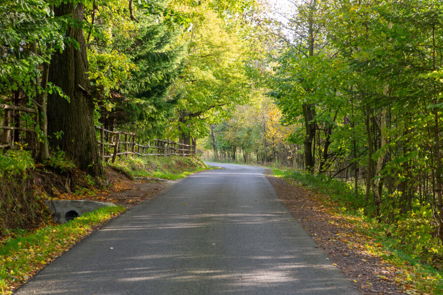 Oak tree road - Automotive HDRI and 15 backplates - HDRMAPS™