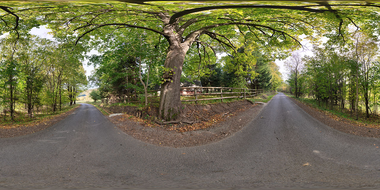 Oak tree road  - HDRIs - Roads