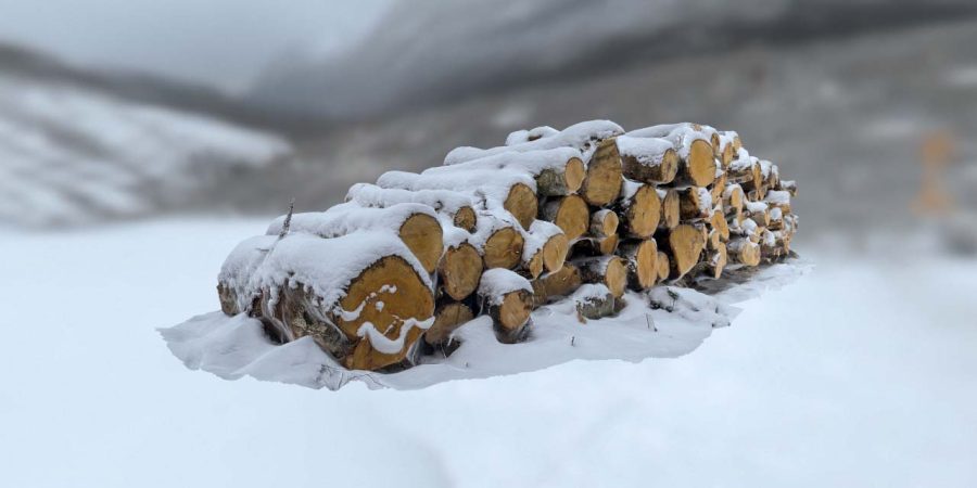 Free 3ds scan photogrammetry pile of log wood in the snow