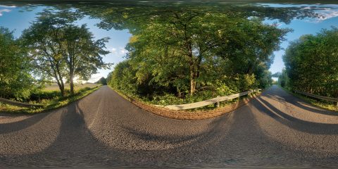 road by trees line hdri map
