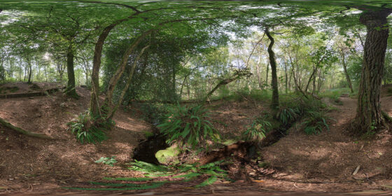 La fontaine de Barenton forest