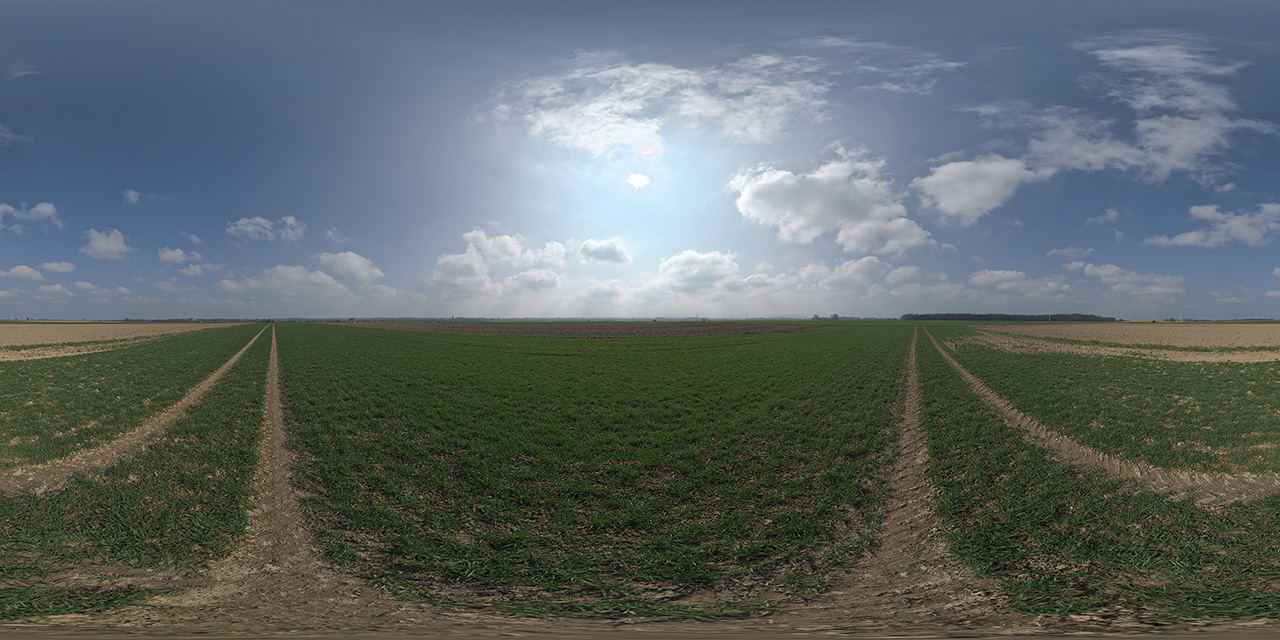 Altewalde 38  - HDRIs - Skies
