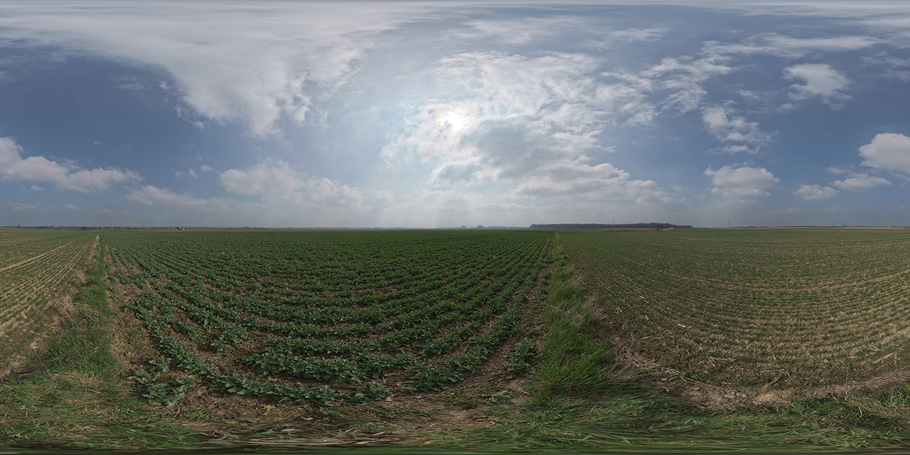 Altewalde 41  - HDRIs - Skies
