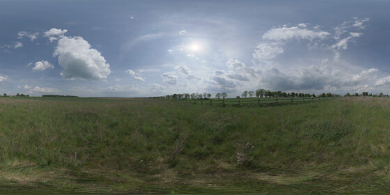 Northern part of Opole Voivodeship, rural area, meadow.