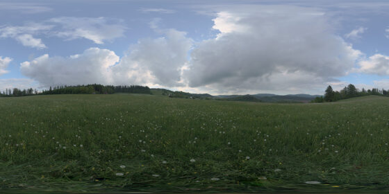 Cloudy Spring Meadow – Neuroder Berge